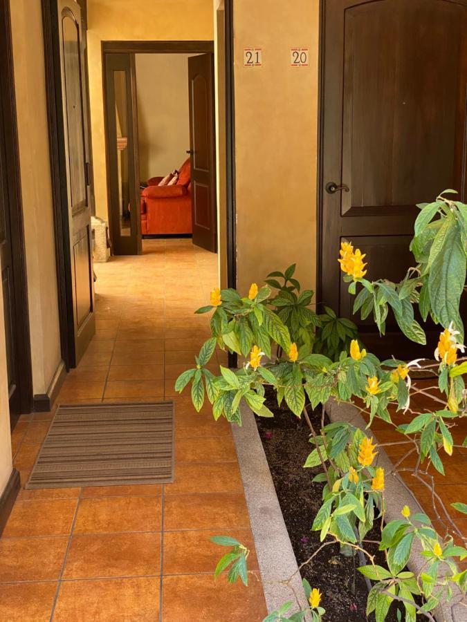 Suite Don Pedro: Hermoso Loft Con Parqueo Gratis! Antigua Eksteriør billede